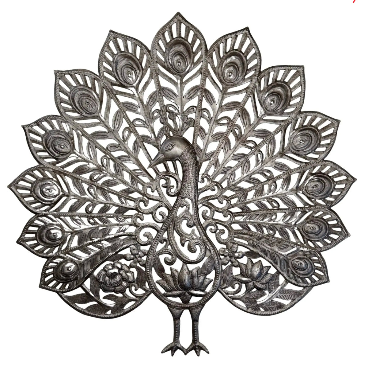 Haitian Peacock 23"