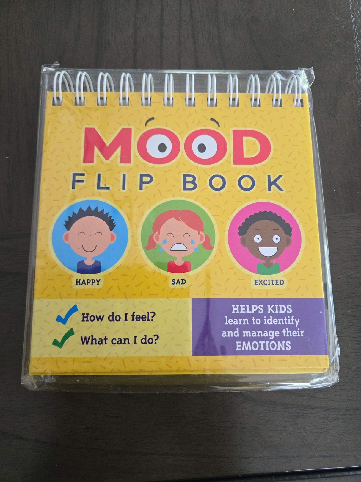 Kid's Mood Flip Book