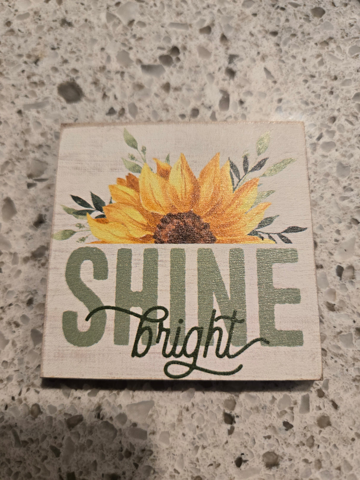 Shine Bright Magnet