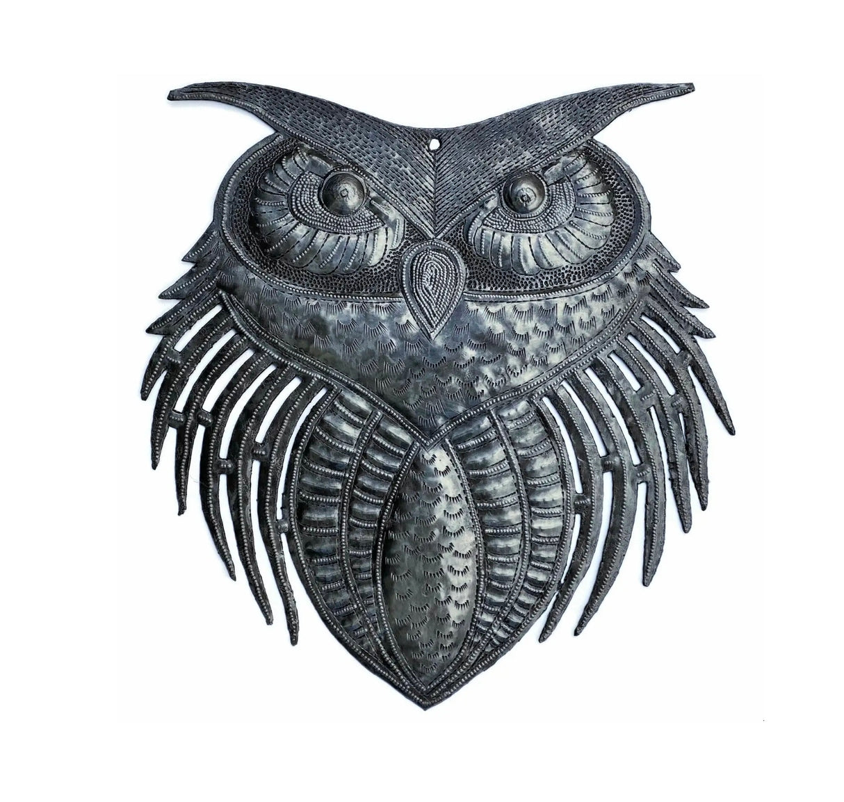 Haitian Wise Owl
