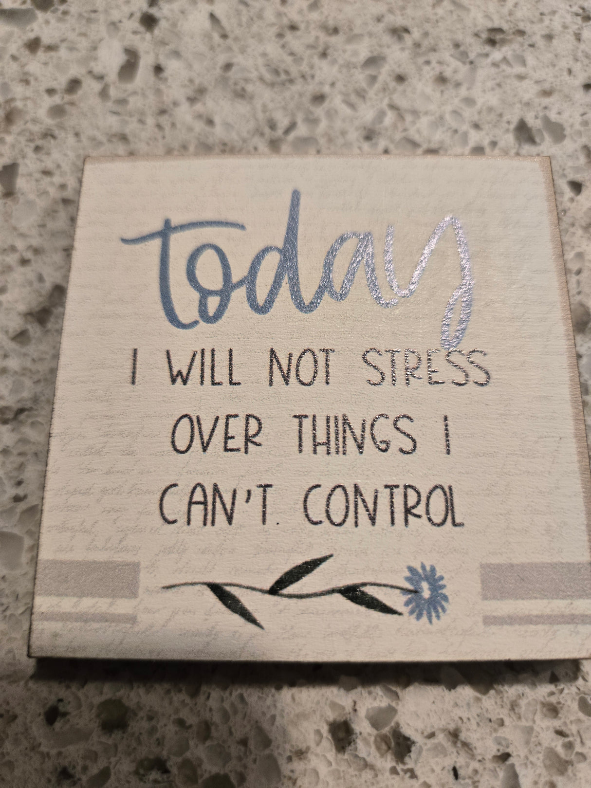 Today I will not Stress over things I can't control Magnet