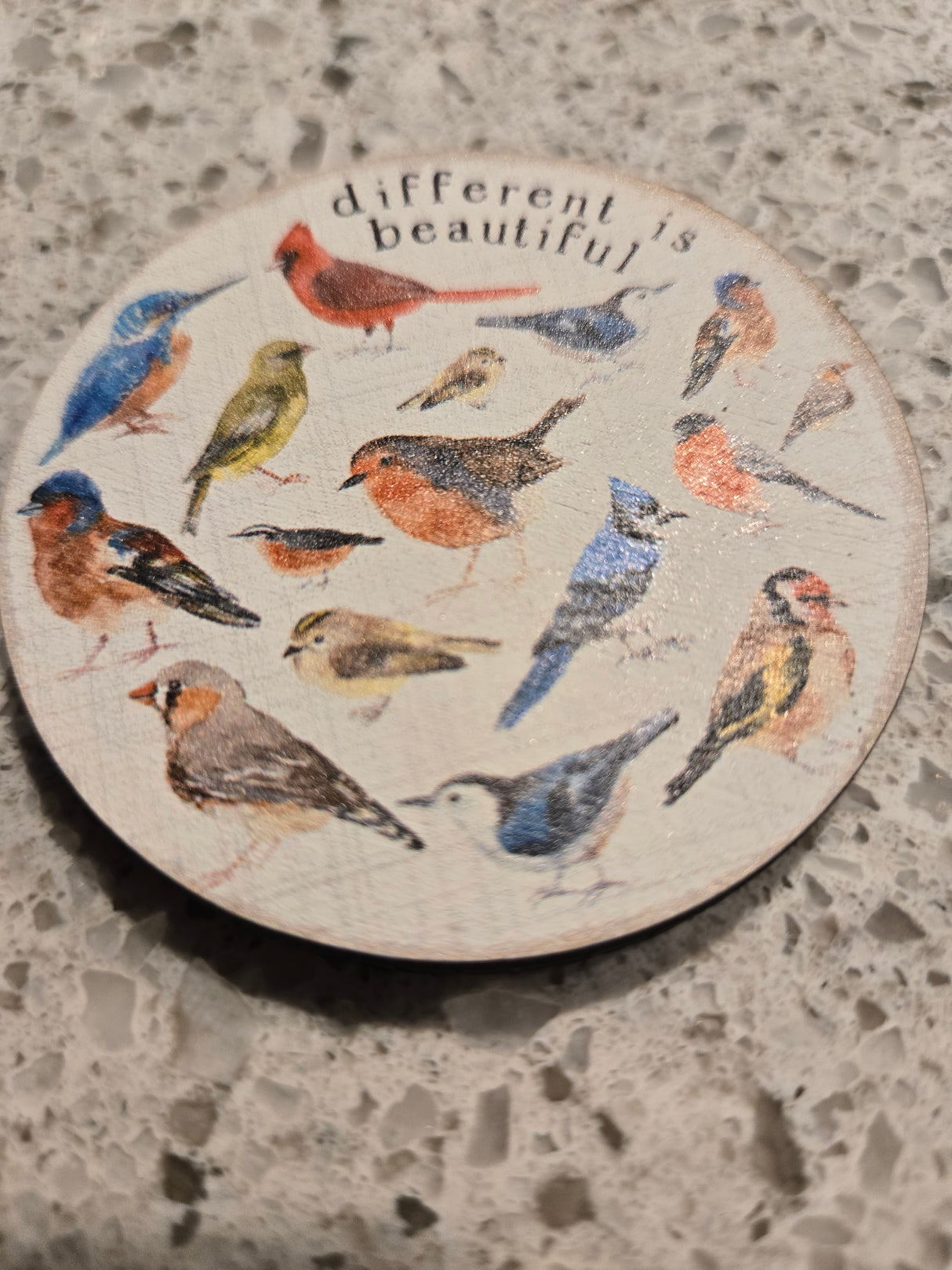 Different is Beautiful Magnet