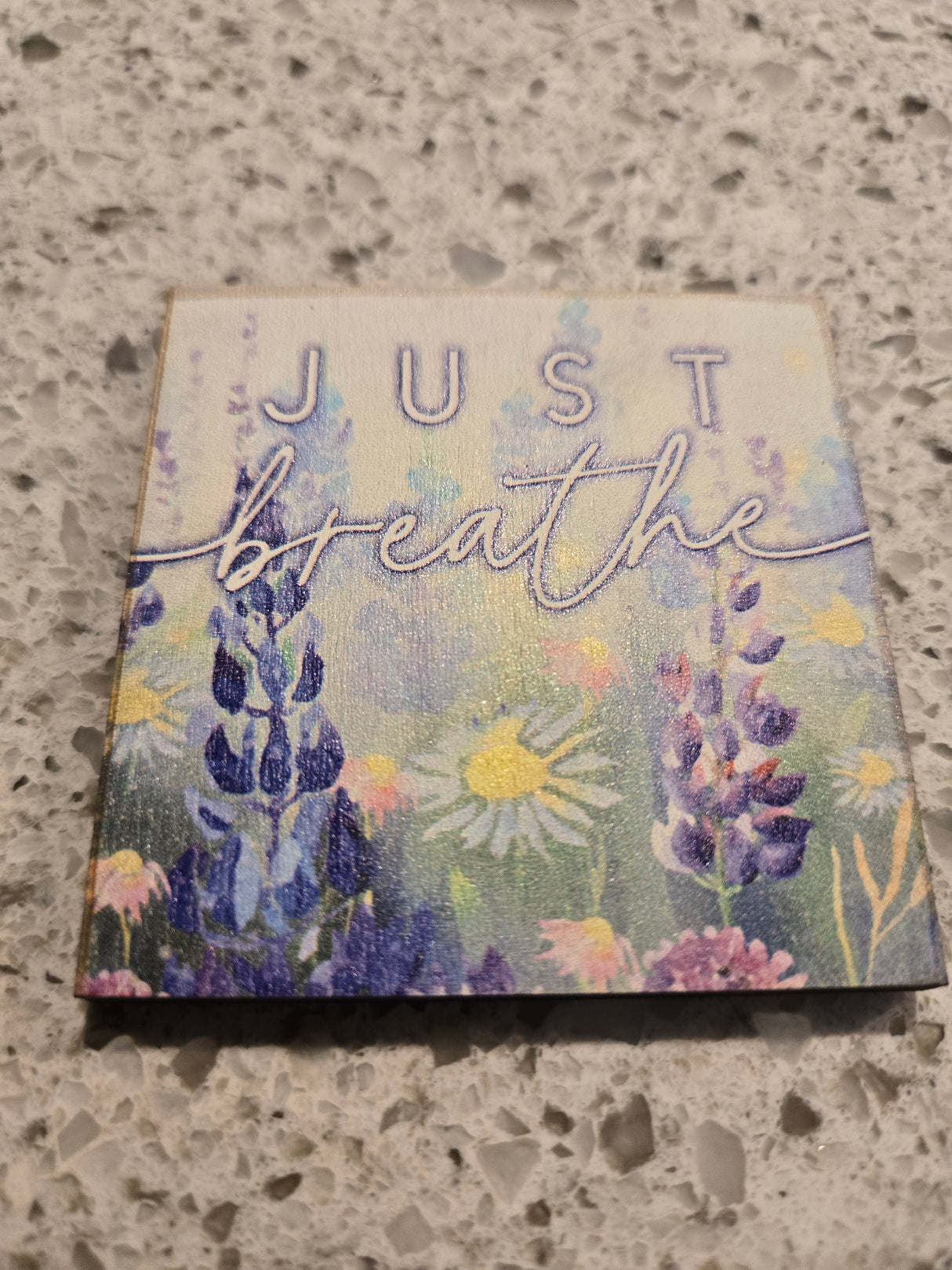 Just breathe Magnet