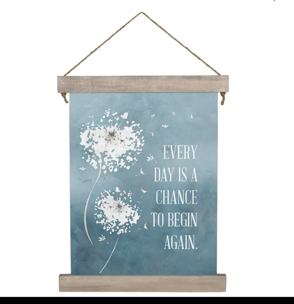 Every Day is a Chance...Hanging Canvas